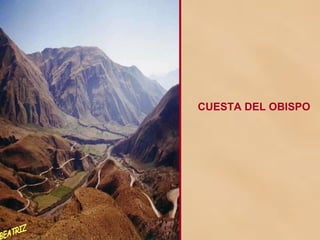 CUESTA DEL OBISPO BEATRIZ 