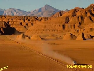 TOLAR GRANDE BEATRIZ 