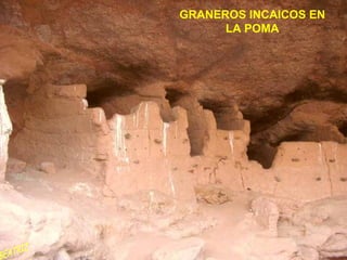 GRANEROS INCAICOS EN LA POMA BEATRIZ 