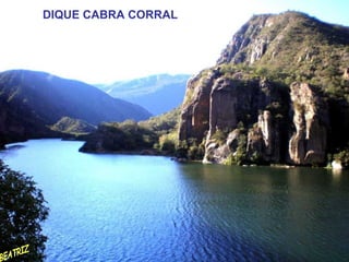 DIQUE CABRA CORRAL BEATRIZ 