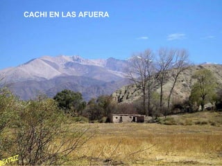 CACHI EN LAS AFUERA BEATRIZ 