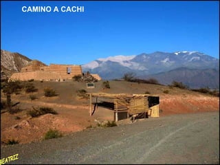 CAMINO A CACHI BEATRIZ 