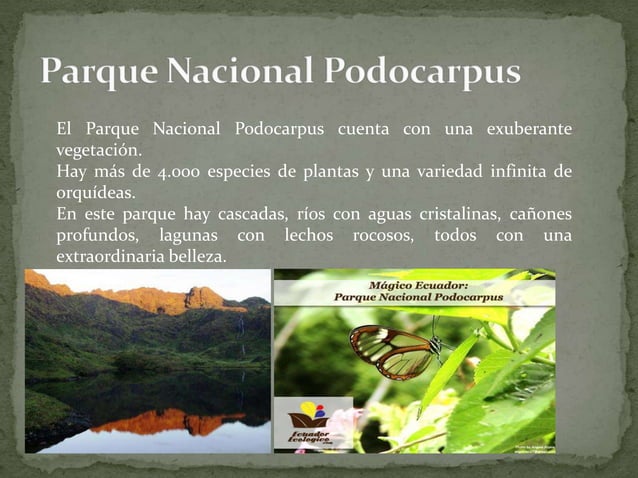 Provincia de zamora chinchipe PPT