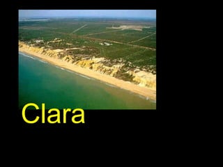 Clara 