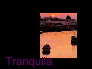 Tranquila 