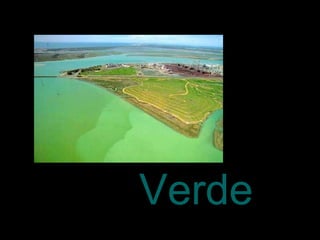 Verde 