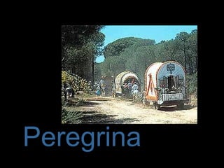 Peregrina 