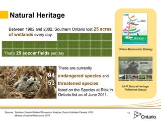 Natural Heritage
   Between 1982 and 2002, Southern Ontario lost 25 acres
   of wetlands every day.


                    ...