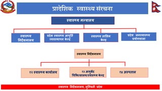 Lumbini Province Health Status FY 2080-81 | PDF