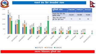 Lumbini Province Health Status FY 2080-81 | PDF