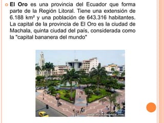  El Oro es una provincia del Ecuador que forma
parte de la Región Litoral. Tiene una extensión de
6.188 km² y una poblaci...