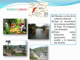 PUERTO LIMON:
 Ubicada a 30 km de la
cabecera cantonal
 Aquí se encuentran
las comunas tsachilas:
El Poste, El Congoma
y los Naranjos
 Tiene varios
balnearios :los
guayacanes, san
camilo y la hostería
San Pancho
 
