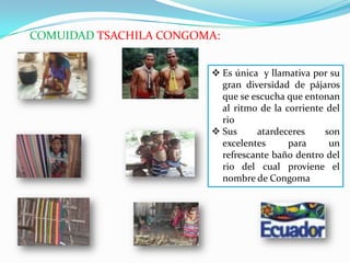 COMUIDAD TSACHILA CONGOMA:
 Es única y llamativa por su
gran diversidad de pájaros
que se escucha que entonan
al ritmo de la corriente del
rio
 Sus atardeceres son
excelentes para un
refrescante baño dentro del
rio del cual proviene el
nombre de Congoma
 