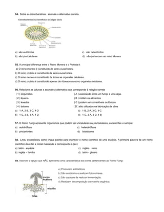54. Sobre as cianobactérias , assinale a alternativa correta.
a) são autótrofas c) são heterótrofos
b) são pluricelulares d) não pertencem ao reino Monera
55. A principal diferença entre o Reino Monera e o Protista é:
a) O reino monera é constituído de seres eucariontes.
b) O reino protista é constituído de seres eucariontes.
c) O reino monera é constituído de todas as organelas celulares.
d) O reino protista é constituído apenas de ribossomos como organelas celulares.
56. Relacione as colunas e assinale a alternativa que corresponde à relação correta
( 1 ) cogumelos ( A ) associação entre um fungo e uma alga.
( 2 ) liquens ( B ) mofam os alimentos
( 3 ) levedos ( C ) podem ser comestíveis ou tóxicos
( 4 ) bolores ( D ) são utilizados na fabricação de pães
a) 1-A, 2-B, 3-C, 4-D c) 1-B, 2-A, 3-D, 4-C
b) 1-C, 2-B, 3-A, 4-D d) 1-C, 2-A, 3-D, 4-B
57. O Reino Fungi apresenta organismos que podem ser unicelulares ou pluricelulares, eucariontes e sempre:
a) autotróficos c) heterotróficos
b) procariontes d) bicelulares
58. Lineu estabeleceu como língua padrão para escrever o nome científico de uma espécie. A primeira palavra de um nome
científico deve ter a inicial maiúscula e corresponde à (ao):
a) latim - espécie c) inglês - reino
b) inglês – família d) latim - gênero
59. Assinale a opção que NÃO apresenta uma característica dos seres pertencentes ao Reino Fungi:
a) Produzem antibióticos
b) São autótrofos e realizam fotossíntese.
c) São capazes de realizar fermentação.
d) Realizam decomposição da matéria orgânica.
 