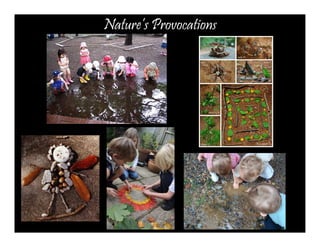 Nature’s Provocations 
 