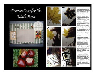Provocations for the 
Math Area 
 