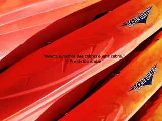 "Mesmo a melhor das cobras é uma cobra."  -- Provérbio Árabe  