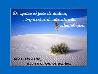 De equino objecto de dádiva,  é impassível de auscultação odontológica. De cavalo dado,  não se olham os dentes. 