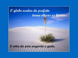 O globo ocular do perfeito  torna obesos os bovinos. O olho do amo engorda o gado. 