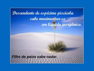 Descendente de espécime piscícola sabe movimentar-se em líquido inorgânico. Filho de peixe sabe nadar. 