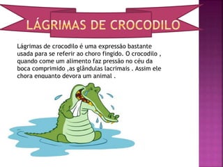 Provérbios e o seu significado | PPT