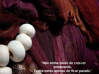 "Não tenha medo de crescer lentamente.  Tenha medo apenas de ficar parado." --Provérbio chinês  