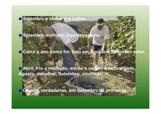 Setembro a comer e a colher.


  Setembro molhado, figo estragado.


  Corra o ano como for, haja em Agosto e Setembro calor.


 Abril, frio e molhado, enche o celeiro e farta o gado.
Agosto, debulhar, Setembro, vindimar.


  Chuvas verdadeiras, em Setembro as primeiras.
 
