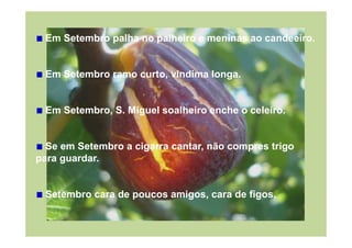 Em Setembro palha no palheiro e meninas ao candeeiro.


 Em Setembro ramo curto, vindima longa.


 Em Setembro, S. Miguel soalheiro enche o celeiro.


  Se em Setembro a cigarra cantar, não compres trigo
para guardar.


 Setembro cara de poucos amigos, cara de figos.
 