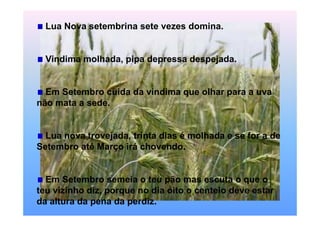 Lua Nova setembrina sete vezes domina.


  Vindima molhada, pipa depressa despejada.


  Em Setembro cuida da vindima que olhar para a uva
não mata a sede.


  Lua nova trovejada, trinta dias é molhada e se for a de
Setembro até Março irá chovendo.


  Em Setembro semeia o teu pão mas escuta o que o
teu vizinho diz, porque no dia oito o centeio deve estar
da altura da pena da perdiz.
 