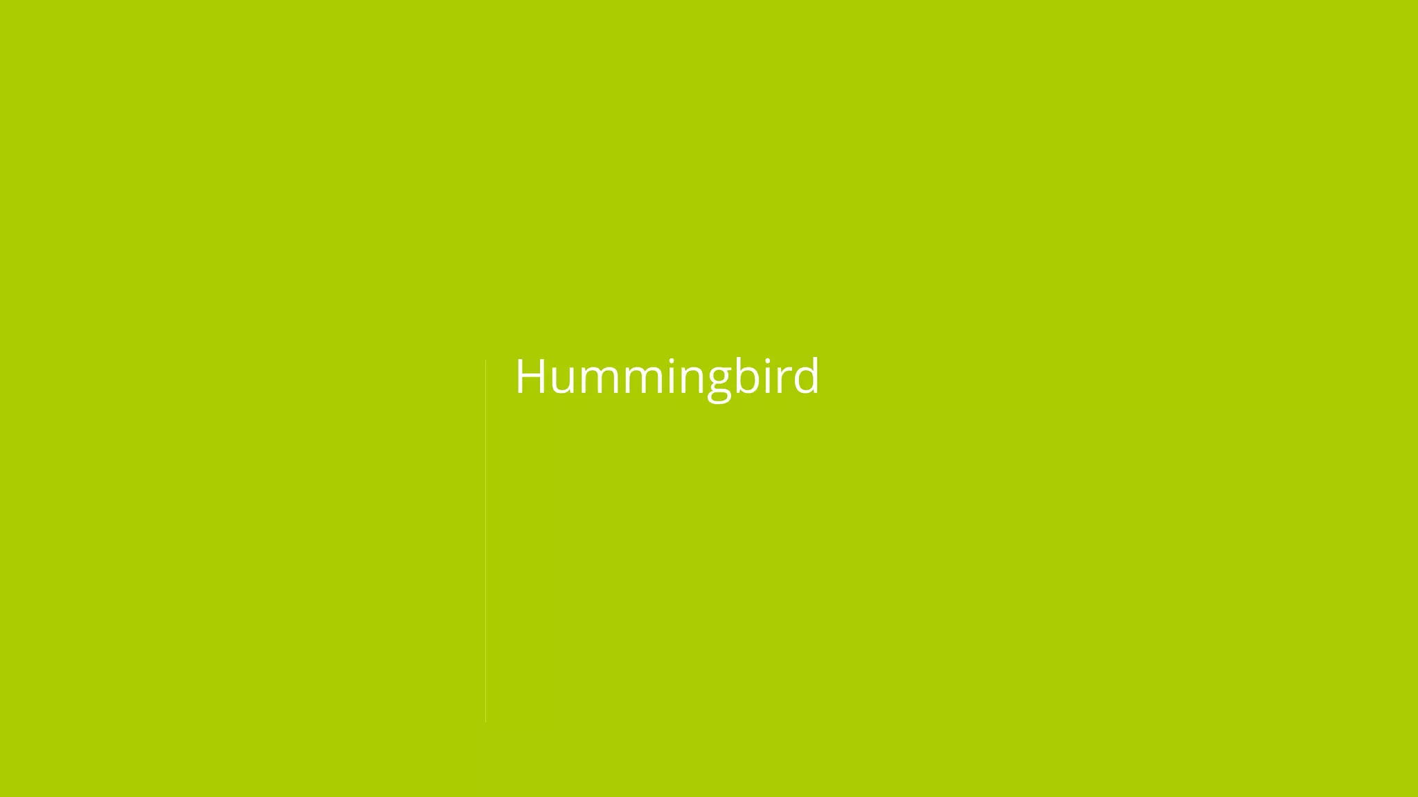 Hummingbird
 