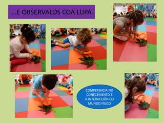 …E OBSERVALOS COA LUPA
COMPETENCIA NO
COÑECEMENTO E
A INTERACCIÓN CO
MUNDO FÍSICO
 