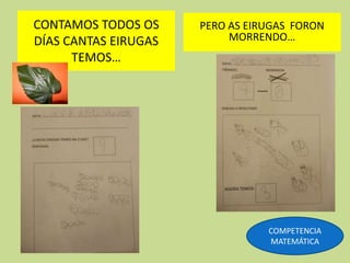 CONTAMOS TODOS OS
DÍAS CANTAS EIRUGAS
TEMOS…
PERO AS EIRUGAS FORON
MORRENDO…
COMPETENCIA
MATEMÁTICA
 