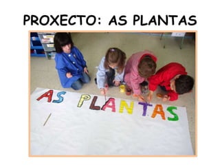 PROXECTO: AS PLANTAS
 