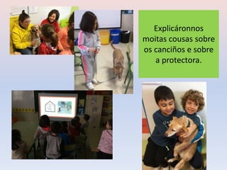 Explicáronnos
moitas cousas sobre
os canciños e sobre
a protectora.
 