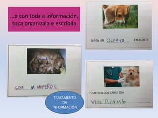 …e con toda a información,
toca organizala e escribila
TRATAMENTO
DA
INFORMACIÓN
 