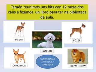 Tamén reunimos uns bits con 12 razas dos
cans e fixemos un libro para ter na biblioteca
de aula.
COMPETENCIA
APRENDER A
APRENDER
 