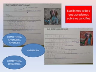 AVALIACIÓN
COMPETENCIA
APRENDER A
APRENDER
Escribimos todo o
que apredemos
sobre os canciños
COMPETENCIA
LINGÜÍSTICA
 