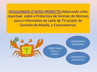 DIVULGAMOS O NOSO PROXECTO elaborando unha
reportaxe sobre a Protectora de Animais do Morrazo
para o Informativo da canle de TV escolar do
Concello de Moaña, o Caranvexornal.
COMPETENCIA
EMOCIONAL
COMPETENCIA
LINGÜÍSTICA
COMPETENCIA
SOCIAL E
CIDADÁ
 