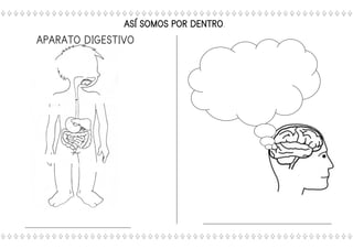 APARATO DIGESTIVO
ASÍ SOMOS POR DENTRO.
 