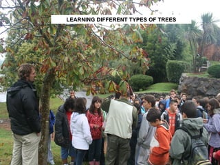LEARNING DIFFERENT TYPES OF TREES 