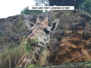 WHY ARE THEY LOOKING AT ME? 