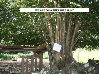 WE ARE ON A TREASURE HUNT 