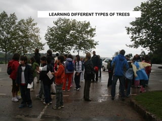 LEARNING DIFFERENT TYPES OF TREES 