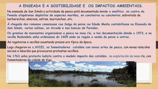 A ENSEADA E A SOSTIBILIDADE E OS IMPACTOS AMBIENTAIS.
Na enseada de San Simón a actividade de pesca está documentada dende...