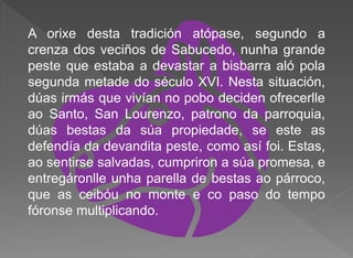 A orixe desta tradición atópase, segundo a
crenza dos veciños de Sabucedo, nunha grande
peste que estaba a devastar a bisbarra aló pola
segunda metade do século XVI. Nesta situación,
dúas irmás que vivían no pobo deciden ofrecerlle
ao Santo, San Lourenzo, patrono da parroquia,
dúas bestas da súa propiedade, se este as
defendía da devandita peste, como así foi. Estas,
ao sentirse salvadas, cumpriron a súa promesa, e
entregáronlle unha parella de bestas ao párroco,
que as ceibóu no monte e co paso do tempo
fóronse multiplicando.
 