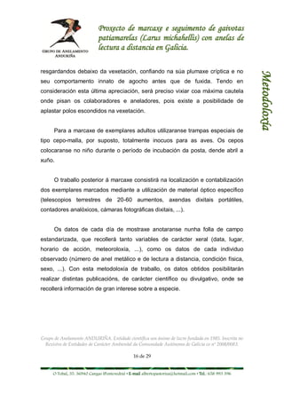 Proxecto de marcaxe e seguimento de gaivotas
                             patiamarelas (Larus michahellis) con anelas de
                             lectura a distancia en Galicia.

resgardandos debaixo da vexetación, confiando na súa plumaxe críptica e no




                                                                                                        Metodoloxía
seu comportamento innato de agocho antes que de fuxida. Tendo en
consideración esta última apreciación, será preciso vixiar coa máxima cautela
onde pisan os colaboradores e aneladores, pois existe a posibilidade de
aplastar polos escondidos na vexetación.


      Para a marcaxe de exemplares adultos utilizaranse trampas especiais de
tipo cepo-malla, por suposto, totalmente inocuos para as aves. Os cepos
colocaranse no niño durante o período de incubación da posta, dende abril a
xuño.


      O traballo posterior á marcaxe consistirá na localización e contabilización
dos exemplares marcados mediante a utilización de material óptico específico
(telescopios terrestres de 20-60 aumentos, axendas dixitais portátiles,
contadores analóxicos, cámaras fotográficas dixitais, ...).


      Os datos de cada día de mostraxe anotaranse nunha folla de campo
estandarizada, que recollerá tanto variables de carácter xeral (data, lugar,
horario de acción, meteoroloxía, ...), como os datos de cada individuo
observado (número de anel metálico e de lectura a distancia, condición física,
sexo, ...). Con esta metodoloxía de traballo, os datos obtidos posibilitarán
realizar distintas publicacións, de carácter científico ou divulgativo, onde se
recollerá información de gran interese sobre a especie.




Grupo de Anelamento ANDURIÑA. Entidade científica sen ánimo de lucro fundada en 1985. Inscrita no
  Rexistro de Entidades de Carácter Ambiental da Comunidade Autónoma de Galicia co nº 2008/0083.

                                                16 de 29


     O Tobal, 35. 36940 Cangas (Pontevedra) • E-mail albertopastoriza@hotmail.com • Tel.: 658 993 396
 