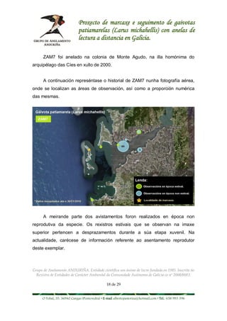 Proxecto de marcaxe e seguimento de gaivotas
                             patiamarelas (Larus michahellis) con anelas de
                             lectura a distancia en Galicia.

      ZAM7 foi anelado na colonia de Monte Agudo, na illa homónima do
arquipélago das Cíes en xullo de 2000.


      A continuación represéntase o historial de ZAM7 nunha fotografía aérea,
onde se localizan as áreas de observación, así como a proporción numérica
das mesmas.




      A meirande parte dos avistamentos foron realizados en época non
reprodutiva da especie. Os rexistros estivais que se observan na imaxe
superior pertencen a desprazamentos durante a súa etapa xuvenil. Na
actualidade, carécese de información referente ao asentamento reprodutor
deste exemplar.



Grupo de Anelamento ANDURIÑA. Entidade científica sen ánimo de lucro fundada en 1985. Inscrita no
  Rexistro de Entidades de Carácter Ambiental da Comunidade Autónoma de Galicia co nº 2008/0083.

                                                18 de 29


     O Tobal, 35. 36940 Cangas (Pontevedra) • E-mail albertopastoriza@hotmail.com • Tel.: 658 993 396
 