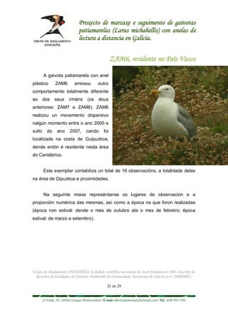 Proxecto de marcaxe e seguimento de gaivotas
                                patiamarelas (Larus michahellis) con anelas de
                                lectura a distancia en Galicia.


                                                       ZAM6, residente no País Vasco

        A gaivota patiamarela con anel
plástico        ZAM6         amosou          outro
comportamento totalmente diferente
ao      dos    seus      irmáns       (os    dous
anteriores: ZAM7 e ZAM8). ZAM6
realizou un movemento dispersivo
nalgún momento entre o ano 2000 e
xullo     do     ano      2007,      cando       foi
localizada na costa de Guipuzkoa,
dende entón é residente nesta área
do Cantábrico.


        Este exemplar contabiliza un total de 16 observacións, a totalidade delas
na área de Gipuzkoa e proximidades.


        Na seguinte imaxe represéntanse os lugares de observación e a
proporción numérica das mesmas, así como a época na que foron realizadas
(época non estival: dende o mes de outubro ata o mes de febreiro; época
estival: de marzo a setembro).




Grupo de Anelamento ANDURIÑA. Entidade científica sen ánimo de lucro fundada en 1985. Inscrita no
  Rexistro de Entidades de Carácter Ambiental da Comunidade Autónoma de Galicia co nº 2008/0083.

                                                   21 de 29


        O Tobal, 35. 36940 Cangas (Pontevedra) • E-mail albertopastoriza@hotmail.com • Tel.: 658 993 396
 
