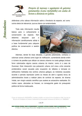 Proxecto de marcaxe e seguimento de gaivotas
                                            patiamarelas (Larus michahellis) con anelas de
                                            lectura a distancia en Galicia.

               obténdose unha valiosa información sobre a fenoloxía da especie, así como
Antecedentes



               outros datos de relevancia, que se citaron con anterioridade.


                     Toda esta información resulta
               básica      para     o    coñecemento          e
               conservación         da     especie.       Non
               debemos            esquecer         que        a
               información cientificamente sólida é
               a base fundamental para calquera
               política de conservación e xestión
               efectiva.


                     Ademais, dende fai dúas décadas, a gaivota patiamarela, comezou a
               colonizar zonas urbanas como lugar de nidificación, aumentando dende entón
               o número de parellas que utilizan os cascos urbanos na costa galega (incluso
               foron colonizados algúns cascos urbanos do interior, como é o caso de
               Ourense). Esta interacción coa poboación urbana civil creou unha crecente
               problemática social causada pola ocupación de tellados e terrazas en
               edificacións habitadas dos centros urbanos galegos; as molestias causadas
               durante o período reprodutor (entre os meses de abril e agosto) levou ás
               administracións locais a realizar plans de controis da especie, de diversa
               índole, sen ningún estudio científico que avalara as actuacións realizadas. En
               moitos casos, abocadas ao fracaso, co conseguinte gasto do presuposto
               público de forma inadecuada.




               Grupo de Anelamento ANDURIÑA. Entidade científica sen ánimo de lucro fundada en 1985. Inscrita no
                 Rexistro de Entidades de Carácter Ambiental da Comunidade Autónoma de Galicia co nº 2008/0083.

                                                               6 de 29


                    O Tobal, 35. 36940 Cangas (Pontevedra) • E-mail albertopastoriza@hotmail.com • Tel.: 658 993 396
 