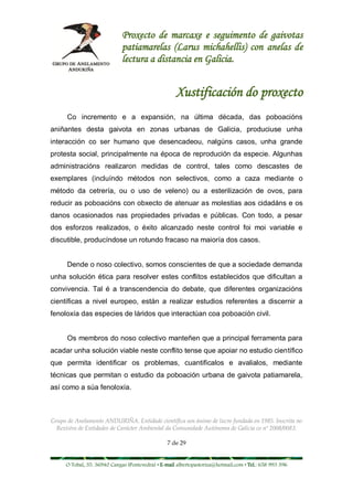 Proxecto de marcaxe e seguimento de gaivotas
                             patiamarelas (Larus michahellis) con anelas de
                             lectura a distancia en Galicia.


                                                    Xustificación do proxecto
      Co incremento e a expansión, na última década, das poboacións
aniñantes desta gaivota en zonas urbanas de Galicia, produciuse unha
interacción co ser humano que desencadeou, nalgúns casos, unha grande
protesta social, principalmente na época de reprodución da especie. Algunhas
administracións realizaron medidas de control, tales como descastes de
exemplares (incluíndo métodos non selectivos, como a caza mediante o
método da cetrería, ou o uso de veleno) ou a esterilización de ovos, para
reducir as poboacións con obxecto de atenuar as molestias aos cidadáns e os
danos ocasionados nas propiedades privadas e públicas. Con todo, a pesar
dos esforzos realizados, o éxito alcanzado neste control foi moi variable e
discutible, producíndose un rotundo fracaso na maioría dos casos.


      Dende o noso colectivo, somos conscientes de que a sociedade demanda
unha solución ética para resolver estes conflitos establecidos que dificultan a
convivencia. Tal é a transcendencia do debate, que diferentes organizacións
científicas a nivel europeo, están a realizar estudios referentes a discernir a
fenoloxía das especies de láridos que interactúan coa poboación civil.


      Os membros do noso colectivo manteñen que a principal ferramenta para
acadar unha solución viable neste conflito tense que apoiar no estudio científico
que permita identificar os problemas, cuantificalos e avalialos, mediante
técnicas que permitan o estudio da poboación urbana de gaivota patiamarela,
así como a súa fenoloxía.



Grupo de Anelamento ANDURIÑA. Entidade científica sen ánimo de lucro fundada en 1985. Inscrita no
  Rexistro de Entidades de Carácter Ambiental da Comunidade Autónoma de Galicia co nº 2008/0083.

                                                7 de 29


     O Tobal, 35. 36940 Cangas (Pontevedra) • E-mail albertopastoriza@hotmail.com • Tel.: 658 993 396
 